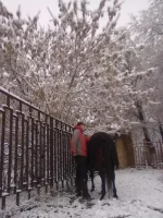 211120102386.webp