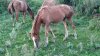 DSC01989.JPG