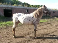 3296c47d367d.webp
