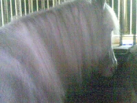CC000006-001.webp