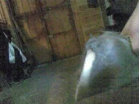 CC000010-002.webp