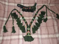 DSCF5476.webp