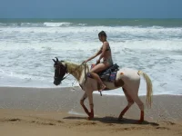 DSCF1558.webp