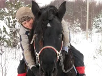 SAM_1824.webp