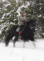 SAM_1820.webp