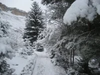 x_01299109.webp