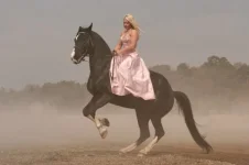 к.webp