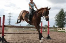 x_bc572e15.webp