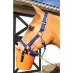 210732-plastic-muzzle.webp