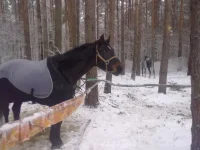 111220102400.webp
