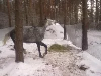 111220102412.webp