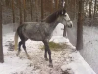 111220102417.webp