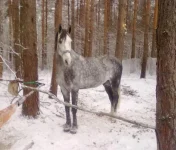 111220102420.webp