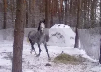 111220102427.webp