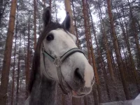 111220102446.webp