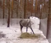 111220102457.webp