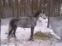 111220102454.webp