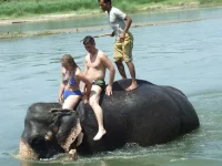 DSCF1465.webp