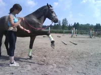 x_46c75d06.webp
