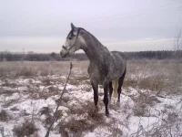 121220102458.webp