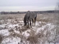 121220102461.webp