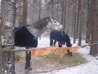 121220102477.webp