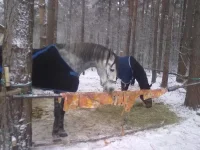 121220102476.webp