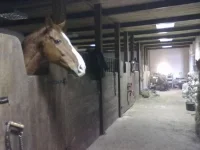 121220102500.webp