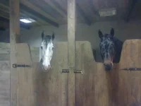 251220102519.webp