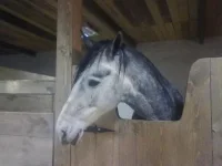 251220102517.webp