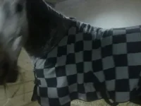 251220102512.webp