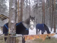 121220102475.webp