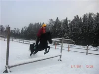 4f87e828fd19[1].webp