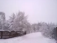 020120112763.webp