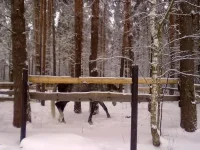 020120112764.webp
