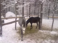 030120112780.webp