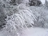 020120112769.webp