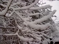 020120112770.webp