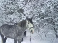 020120112776.webp