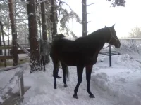 040120112792.webp