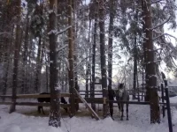040120112788.webp