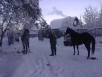 040120112800.webp