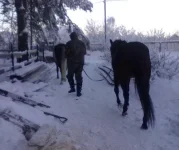 040120112798.webp