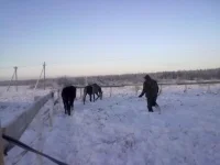 040120112808.webp