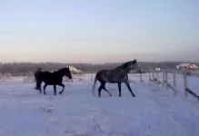 040120112811.webp