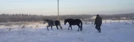 040120112814.webp