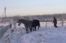 040120112815.webp
