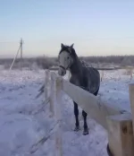 040120112822.webp