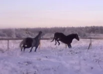 040120112825.webp