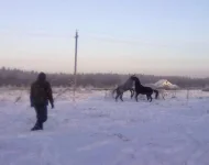 040120112826.webp